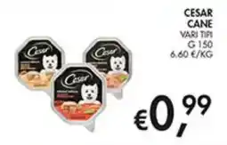 Coal CESAR CANE offerta