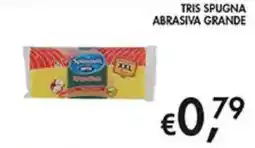 Coal Spugna Abrasiva offerta
