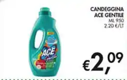 Coal CANDEGGINA ACE GENTILE offerta