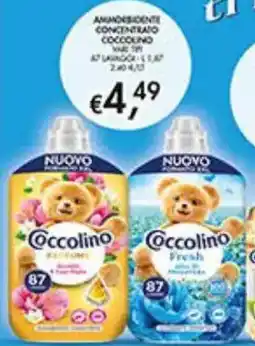 Coal Coccolino offerta