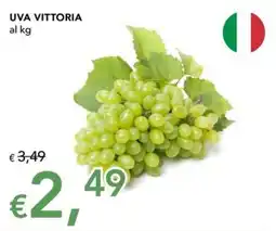 Migross Superstore UVA VITTORIA offerta