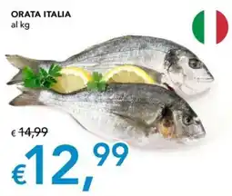 Migross Superstore ORATA ITALIA offerta