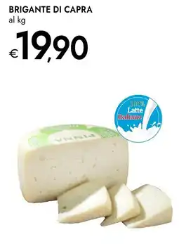 Bennet Brigante di capra offerta