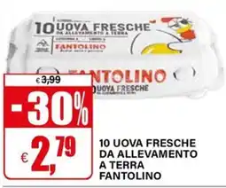 Il Gigante Uova fresche Fantolino offerta
