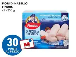 Migross Superstore Fiori di nasello Findus offerta