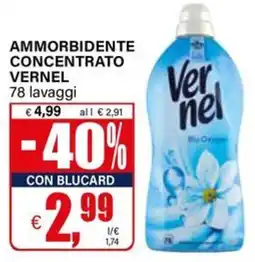 Il Gigante AMMORBIDENTE CONCENTRATO VERNEL offerta