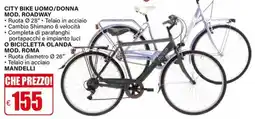 Il Gigante BICICLETTA OLANDA offerta