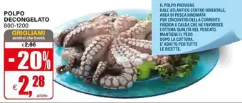 Il Gigante POLPO DECONGELATO offerta