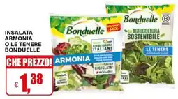Il Gigante INSALATA ARMONIA O LE TENERE BONDUELLE offerta