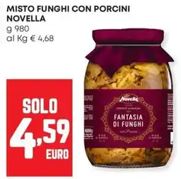 Panorama Fantasia di Funghi Novella offerta
