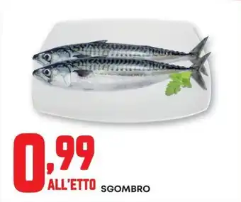 Pam SGOMBRO offerta
