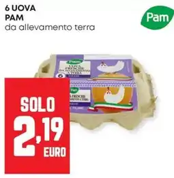 Panorama Uova Pam da allevamento terra offerta