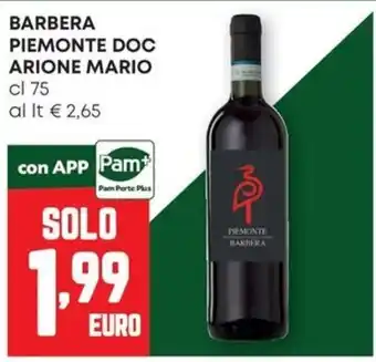 Pam Barbera Piemonte DOC Arione Mario offerta