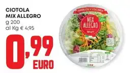Panorama Ciotola Mix Allegro offerta