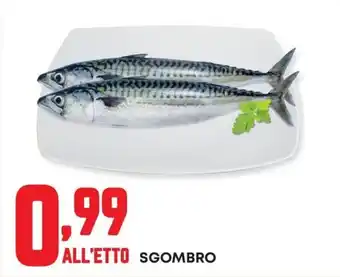 Panorama SGOMBRO offerta