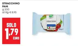 Panorama Stracchino Pam offerta
