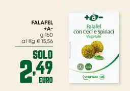 Panorama Falafel +A- offerta