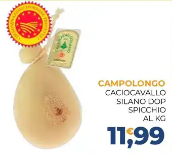 Moderna Campolongo Caciocavallo Silano DOP offerta