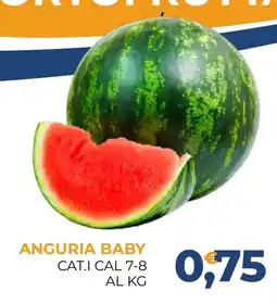 Moderna ANGURIA BABY offerta