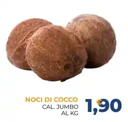 Moderna NOCI DI COCCO CAL. JUMBO offerta