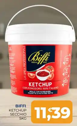 Moderna Biffi Ketchup offerta