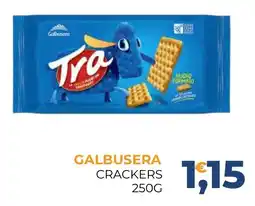 Moderna Galbusera Crackers offerta