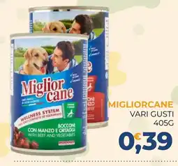 Moderna Miglior cane offerta