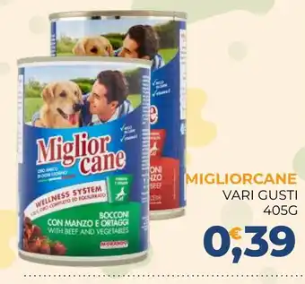 Moderna Miglior cane offerta