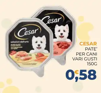 Moderna CESAR PATE' PER CANI offerta