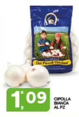 Sisa Cipolla Bianca offerta