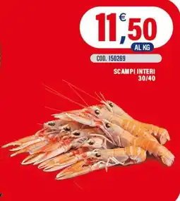 Adhoc Scampi interi offerta