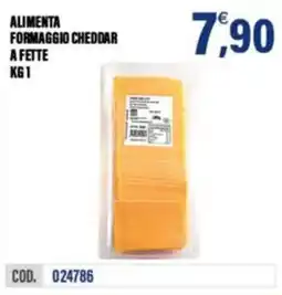 Adhoc ALIMENTA FORMAGGIO CHEDDAR offerta