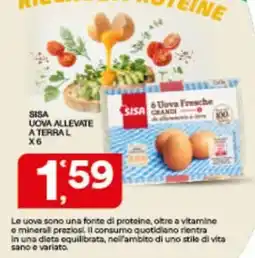 Sisa SISA Uova Allevate a Terra L offerta