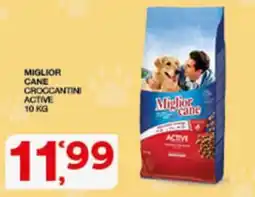 Sisa Miglior Cane Croccantini Active offerta