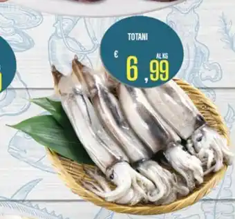Supermercati EffePiù Totani offerta