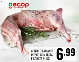 Gecop Agnello Lattante offerta