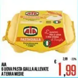 Supermercati EffePiù AIA 6 UOVA PASTA GIALLA ALLEVATE A TERRA MEDIE offerta