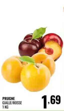 Gecop Prugne Gialle/Rosse offerta