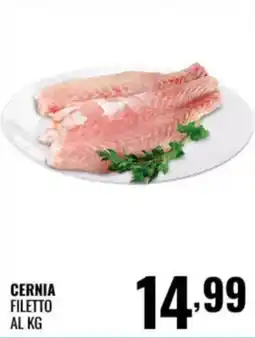 Gecop CERNIA FILETTO offerta