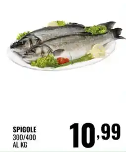 Gecop SPIGOLE offerta