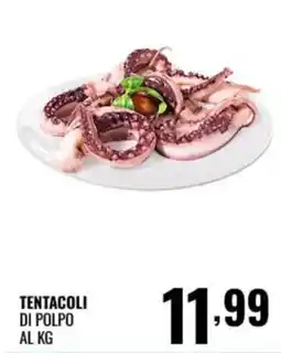 Gecop TENTACOLI DI POLPO offerta