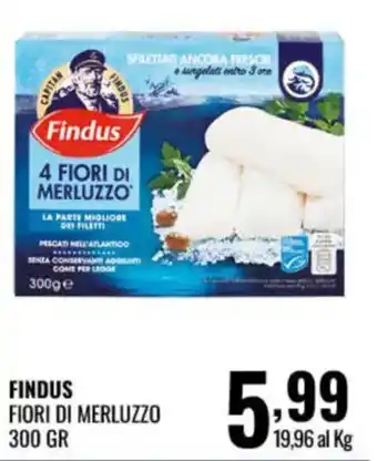 Gecop Findus Fiori di Merluzzo offerta