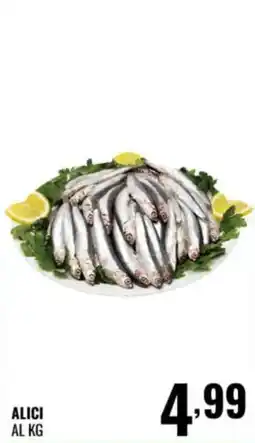 Gecop ALICI offerta