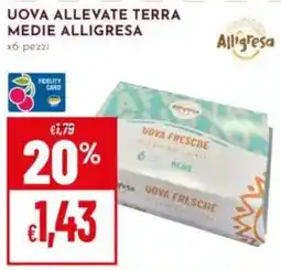 Pan Uova allevate terra medie Alligresa offerta