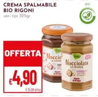 Pan Crema spalmabile bio Rigoni offerta