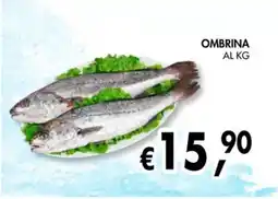 èccoMI OMBRINA offerta
