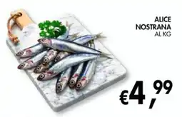 èccoMI Alice Nostrana offerta