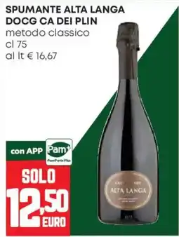 Pam Spumante Alta Langa DOCG Ca dei Plin offerta