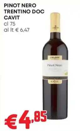 Pam Pinot Nero Trentino DOC Cavit offerta