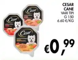 èccoMI CESAR CANE offerta